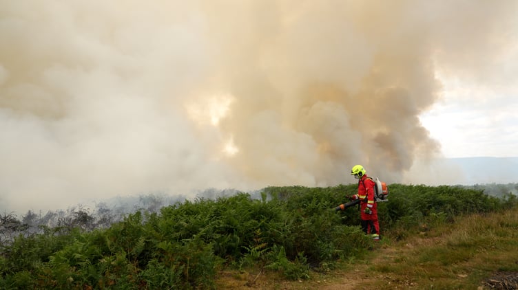 Blaenavon Wildfire