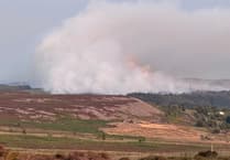 "Urgent discussions underway" to send aerial support to Blaenavon wildfire