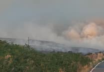 Torfaen council allocates £50,000 to tackle wildfires