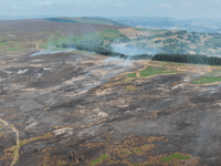 Fire's devastating effect on wildlife as 'red listed' species perish 