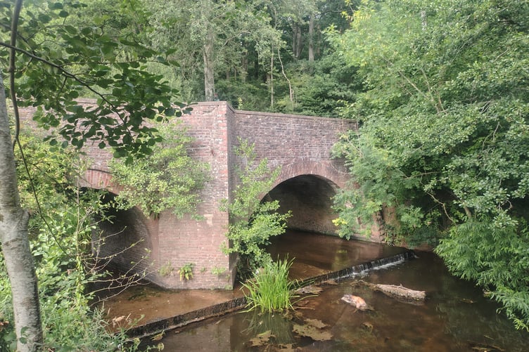 The carcasses are below the bridge in Dingestow