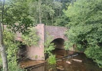 NRW condemned for leaving dead deer in river