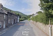 Fallen tree closes stretch of A479