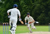 Wonderful Glan down Wanderers by 113 runs
