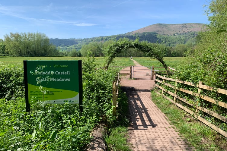 Castle Meadows