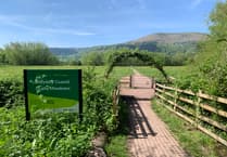 Parvovirus warning in Abergavenny