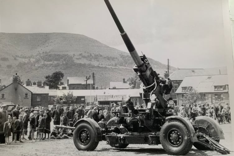 Old Guns
