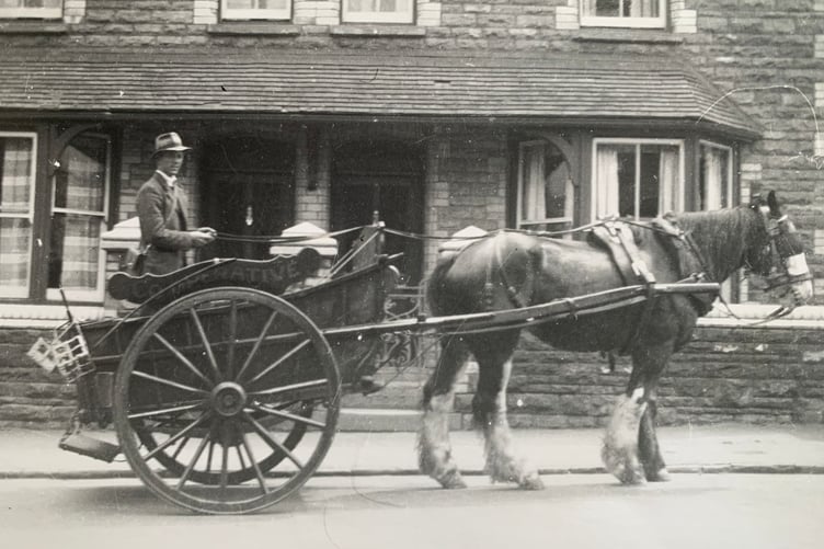 Horse and cart
