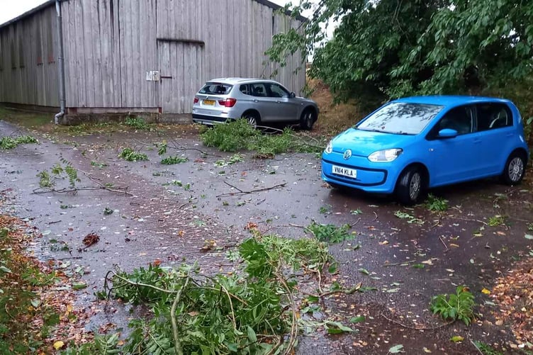 A tornado swept through Trevor's yard