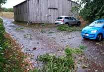 Tornado in Llanishen: Homes and gardens hit