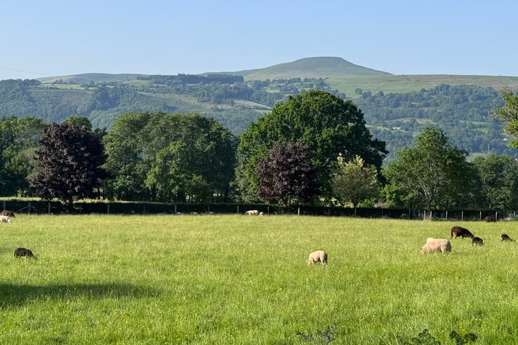 Monmouthshire