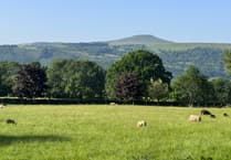 Monmouthshire named the second most expensive place to rent in Wales