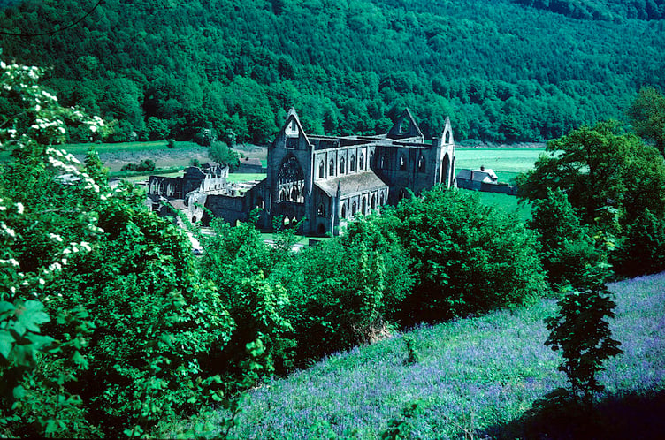 Tintern Abbey