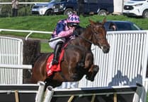 Jumps season starts with bang for Pioneer Pete and Bowen