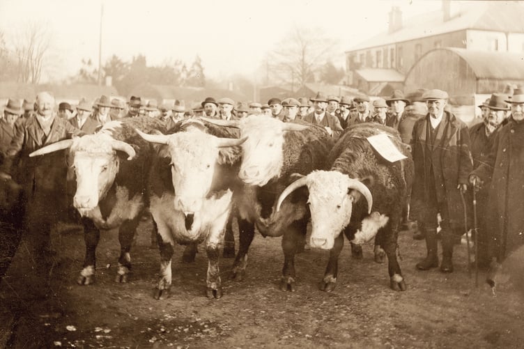 Abergavenny Market