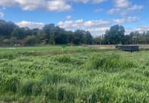 Spills slashed by over 90 per cent in this Torfaen river due to 'nature-based' scheme