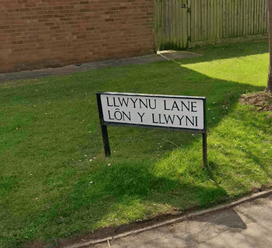 Llwynu Lane