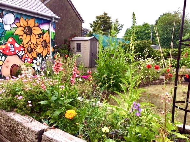 The garden supporting bio diversity and sustainability at Usk Library