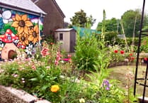 Turn a new leaf at blooming brilliant Green Libraries Week