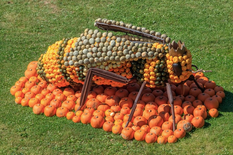 A pumpkin model of a bee
