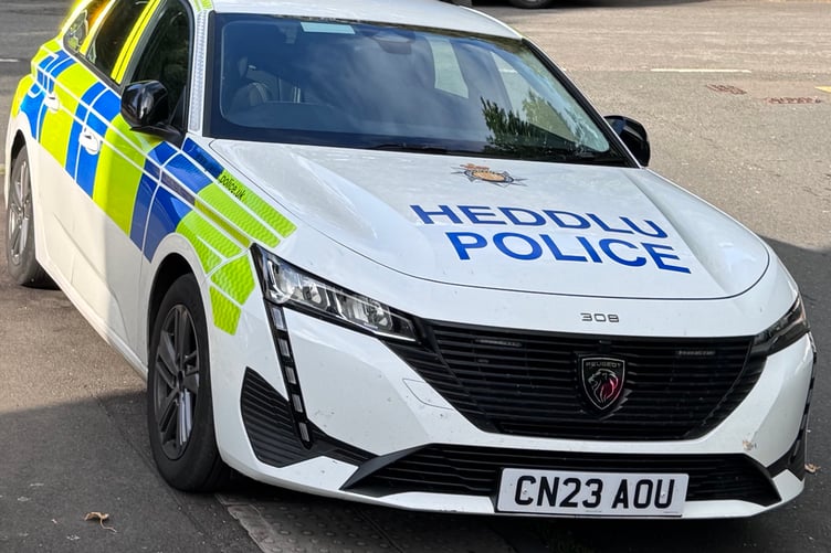 Police car