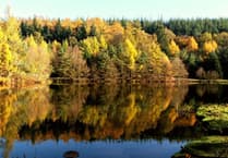 Forget New England and head to the Forest of Dean to see spectacular autumn colours
