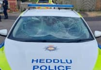 Man's vandalism spree costs police £2,000